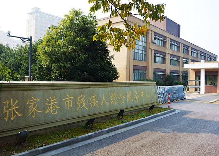 残疾人综合服务