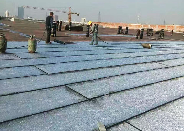 苏州西雅克水族馆